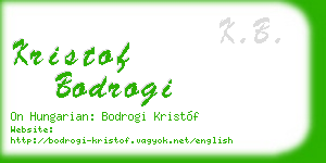kristof bodrogi business card